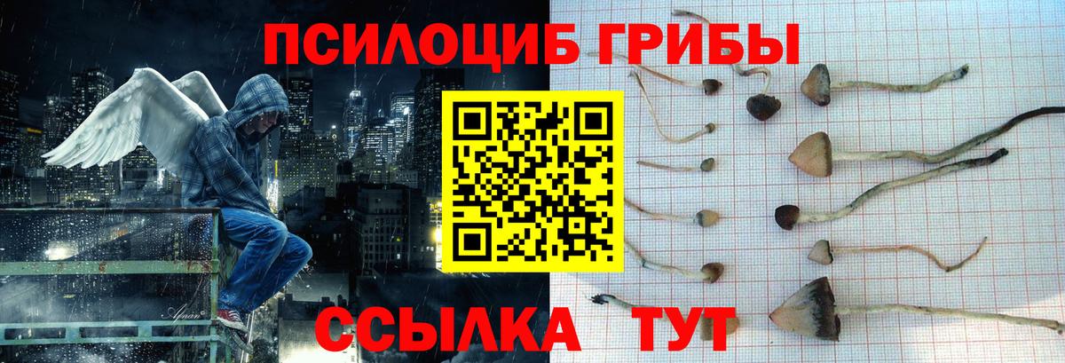 Псилоцибиновые грибы Cubensis  где можно купить   Качканар  Вход с VPN  Галлюциногенные грибы Cubensis 